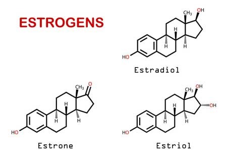 Estrogen-co-vai-tro-rat-quan-trong-doi-voi-phu-nu
